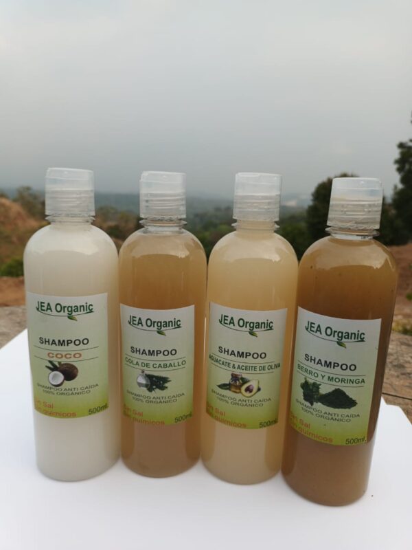 SHAMPOO, SIN SAL SIN SULFATO SIN PARABENOS, CON EXTRACTOS NATURALES PARA SUAVISAR LAS PUNTAS Y REGENERAL EL CABELLO